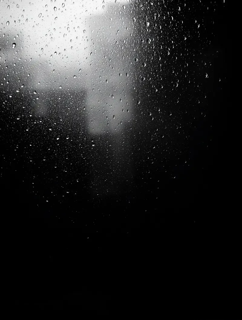 雨 · 雾